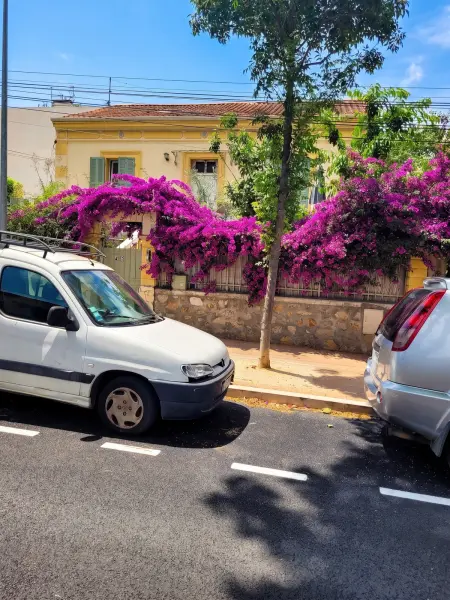 Appartement cosy avec jardin clôturé à La Seyne-sur-Mer : photo 19