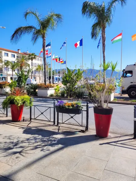 Appartement cosy avec jardin clôturé à La Seyne-sur-Mer : photo 21