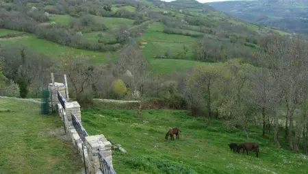 Maison de charme à Rentières, 5 chambres et jardin clôturé : photo 13