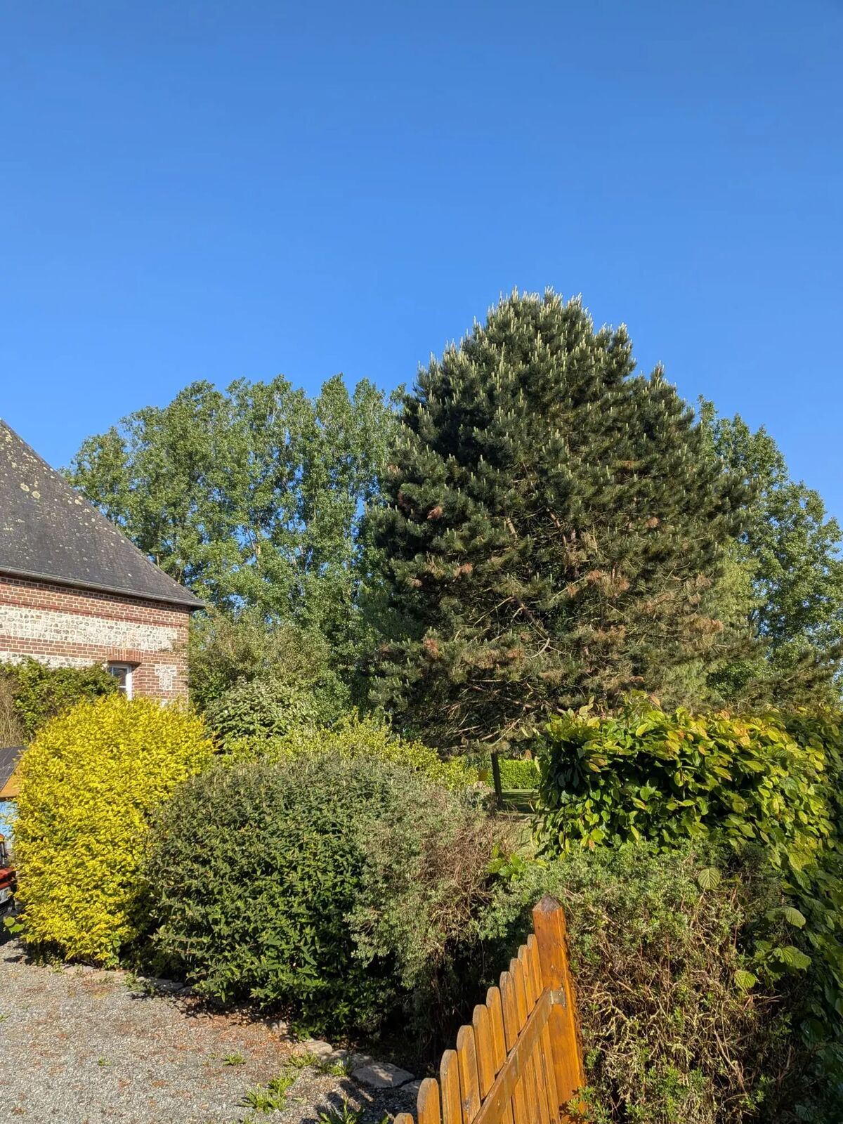 Maison 14 pers., 4 chambres à Berville avec jardin et aire de jeux - Photo 8