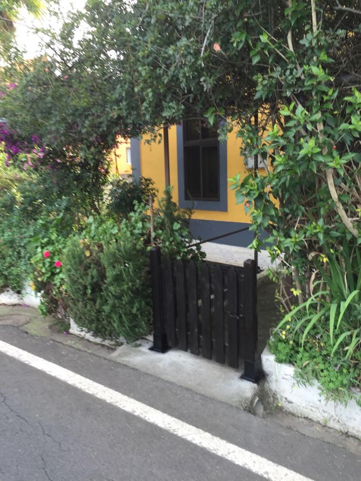 Maison 2 chambres à Teror, vue montagnes et jardin - Photo 12