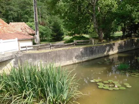 Maison de campagne avec jardin non clôturé et barbecue, Piets-Plasence-Moustrou : photo 15