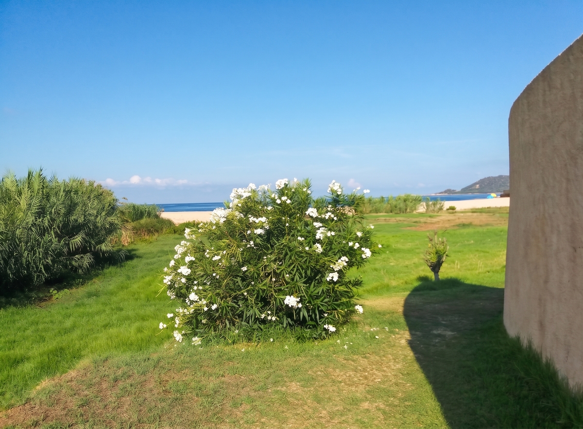 Maison 6 pers. vue mer à Calcatoggio, jardin clôturé - Photo 6