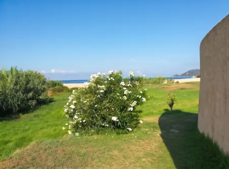 Maison avec vue mer, jardin clôturé et parking à Calcatoggio : photo 6