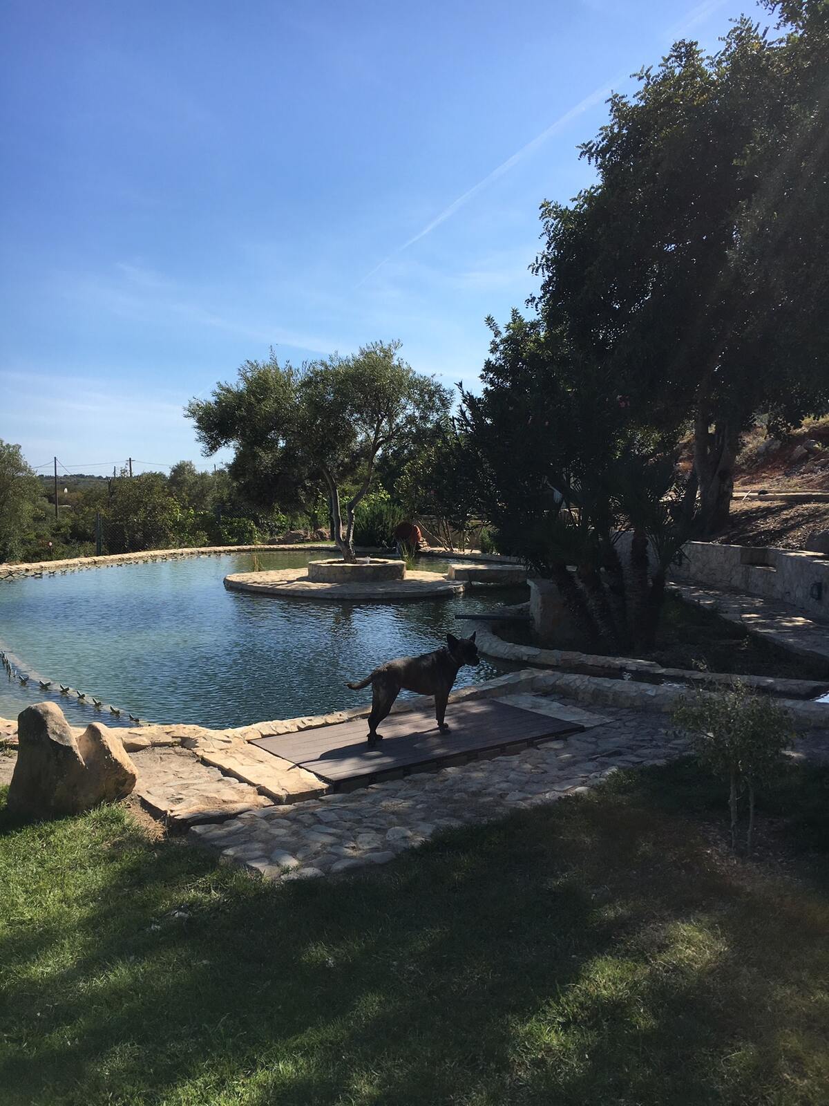 Villa rustique Tavira avec piscine chauffée toute l'année - Photo 15