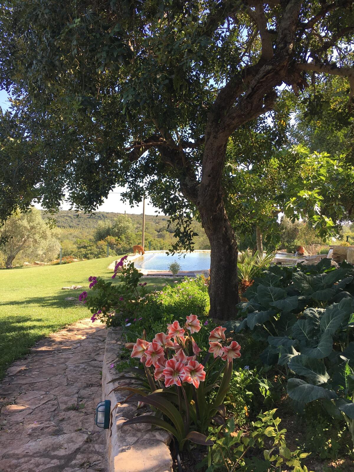 Villa rustique Tavira avec piscine chauffée toute l'année - Photo 20