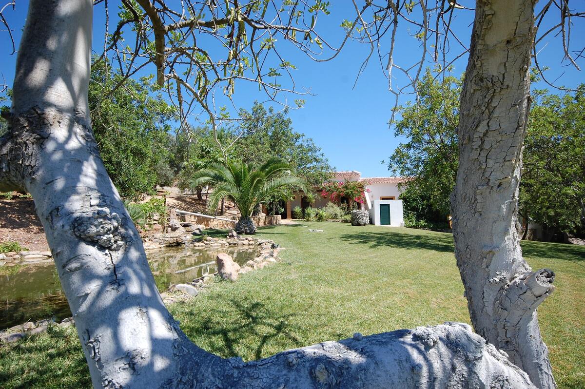 Villa rustique Tavira avec piscine chauffée toute l'année - Photo 26