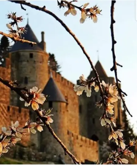 Villa élégante à Carcassonne avec jardin et jacuzzi - Photo 41