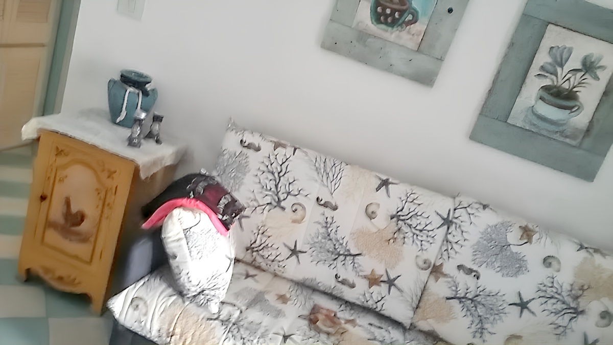 Appartement 55 m² piscine estivale à Lentia - Photo 18
