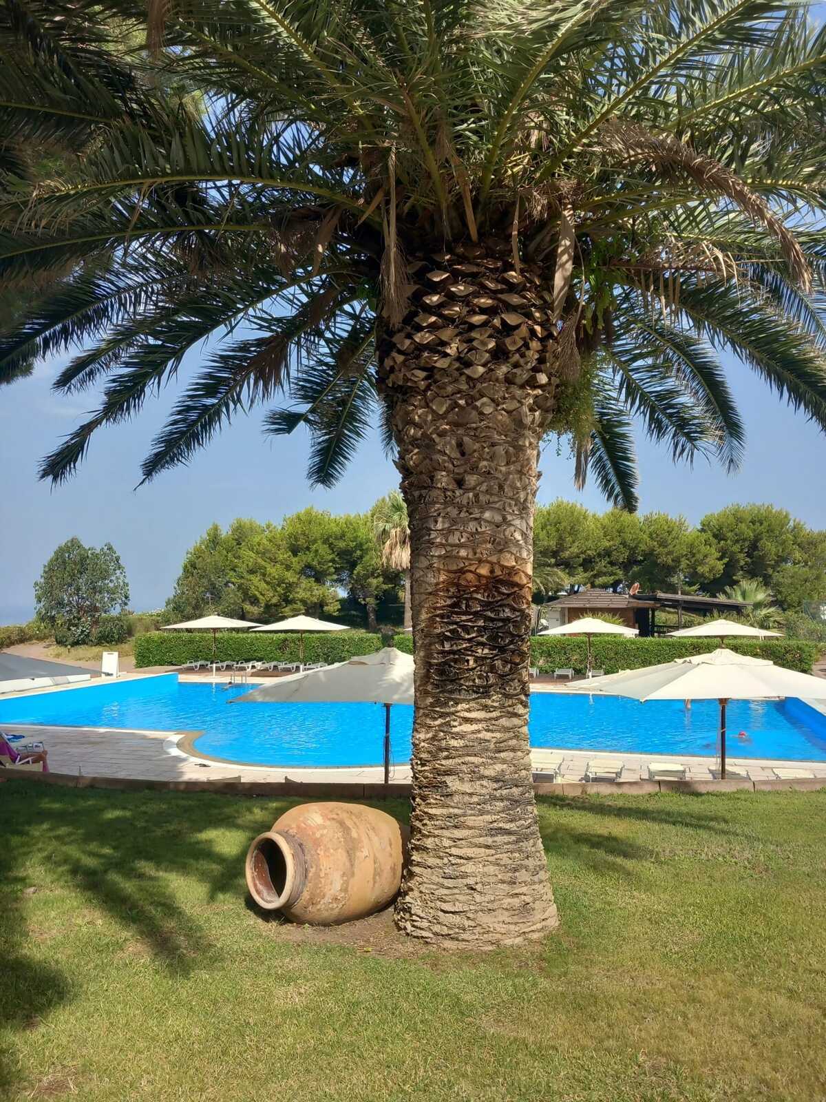 Appartement 55 m² piscine estivale à Lentia - Photo 39