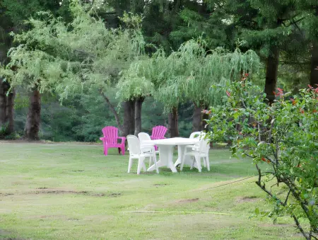 Maison avec jardin non clôturé et barbecue au Chambon-sur-Lignon : photo 9