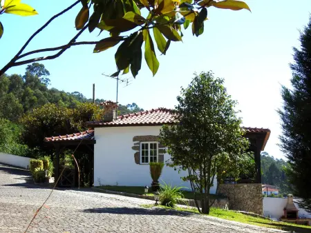 Villa Idéale Vila Nova de Famalicão, piscine privée et vue lac : photo 42