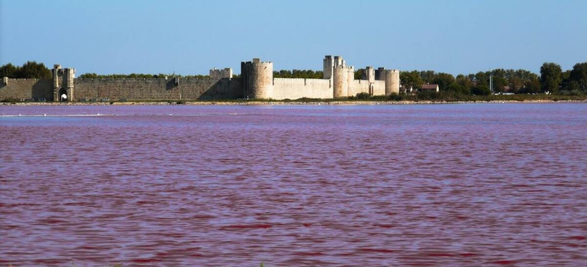 Appartement 6 pers. à Aigues-Mortes, piscine et jardin - Photo 22