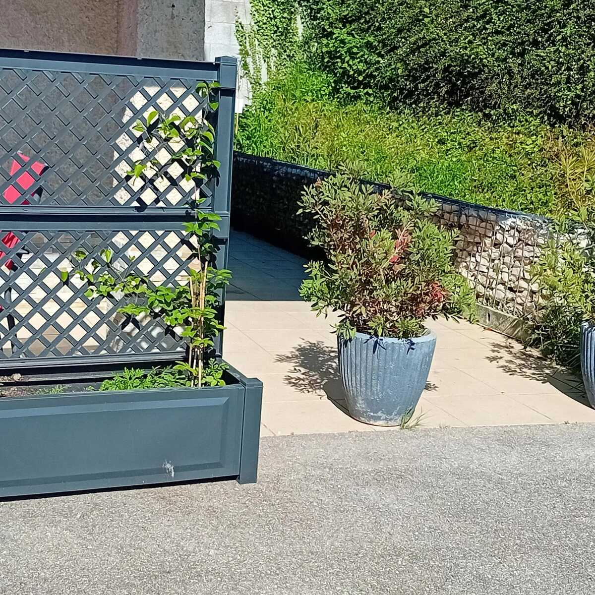Appartement 40 m² avec terrasse jardin à Saint-Victor-de-Cessieu - Photo 13