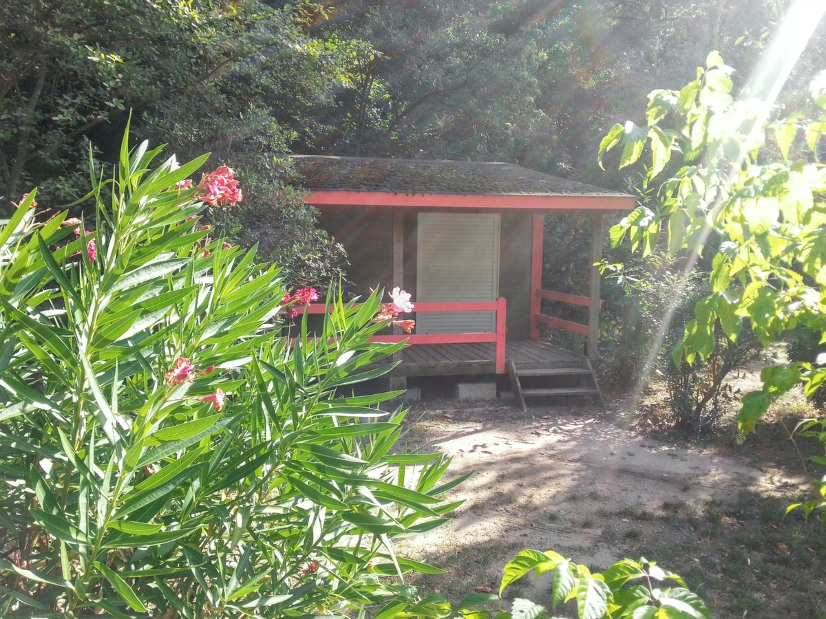 Chalet 5 pers. avec piscine à Saint-Jean-du-Gard - Photo 13
