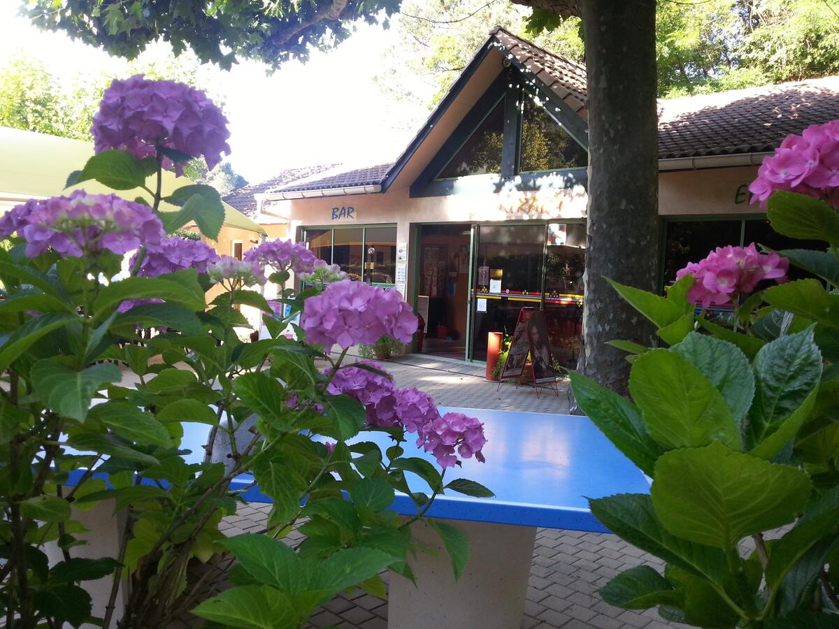 Chalet 5 pers. avec piscine à Saint-Jean-du-Gard - Photo 14