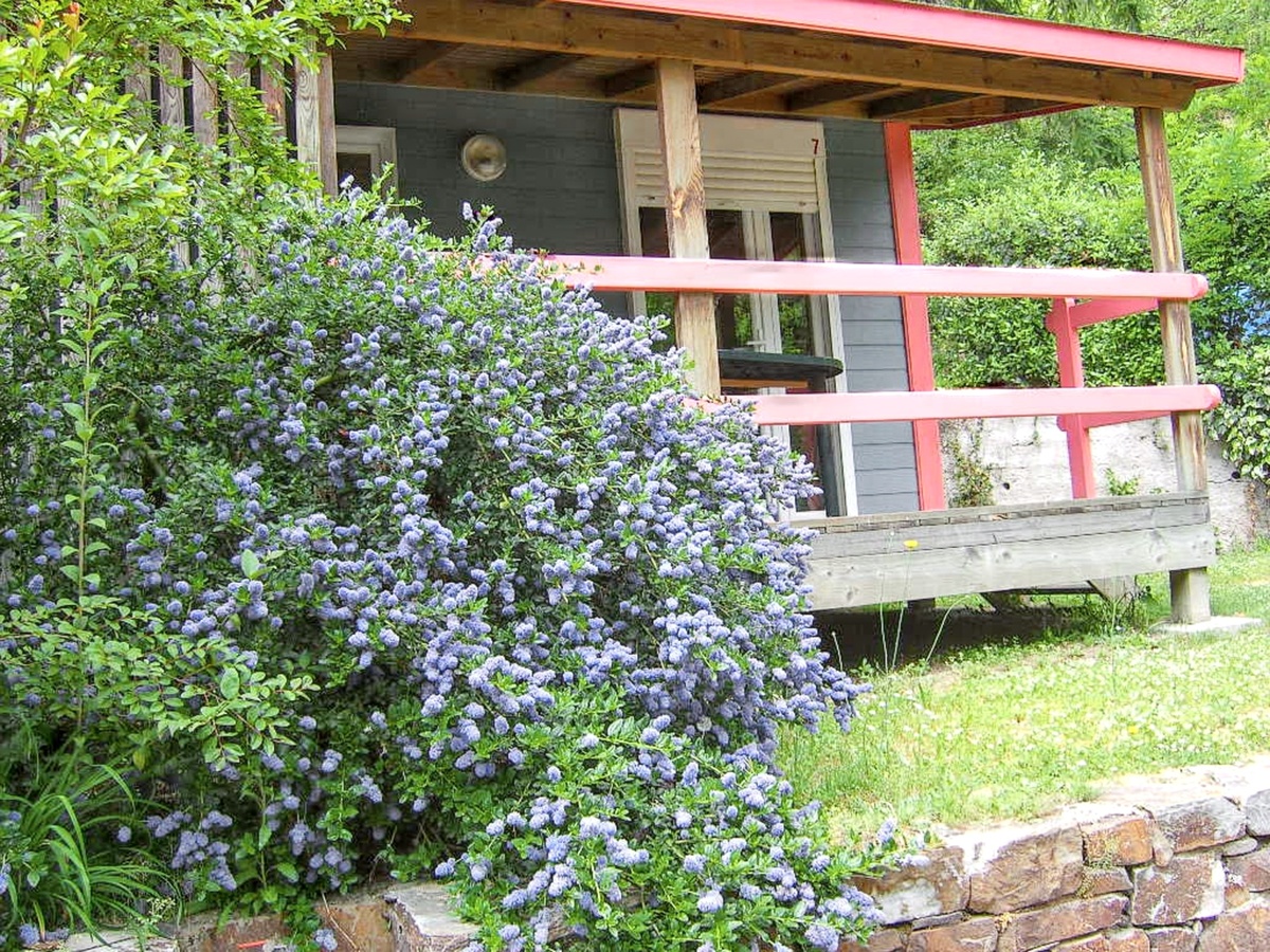Chalet 5 pers. avec piscine à Saint-Jean-du-Gard - Photo 15