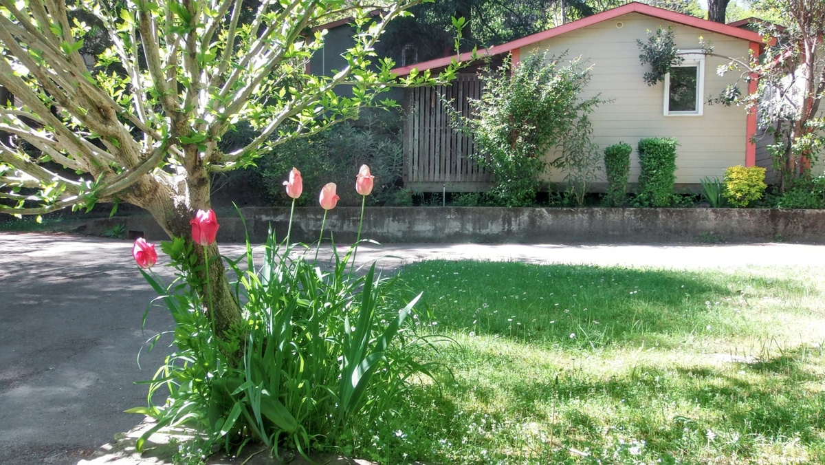 Chalet 5 pers. avec piscine à Saint-Jean-du-Gard - Photo 36