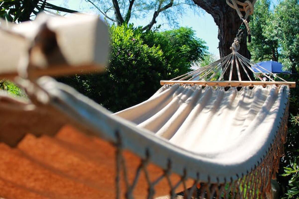 Maison avec jardin clôturé à Monopoli, plage à 30 m - Photo 13
