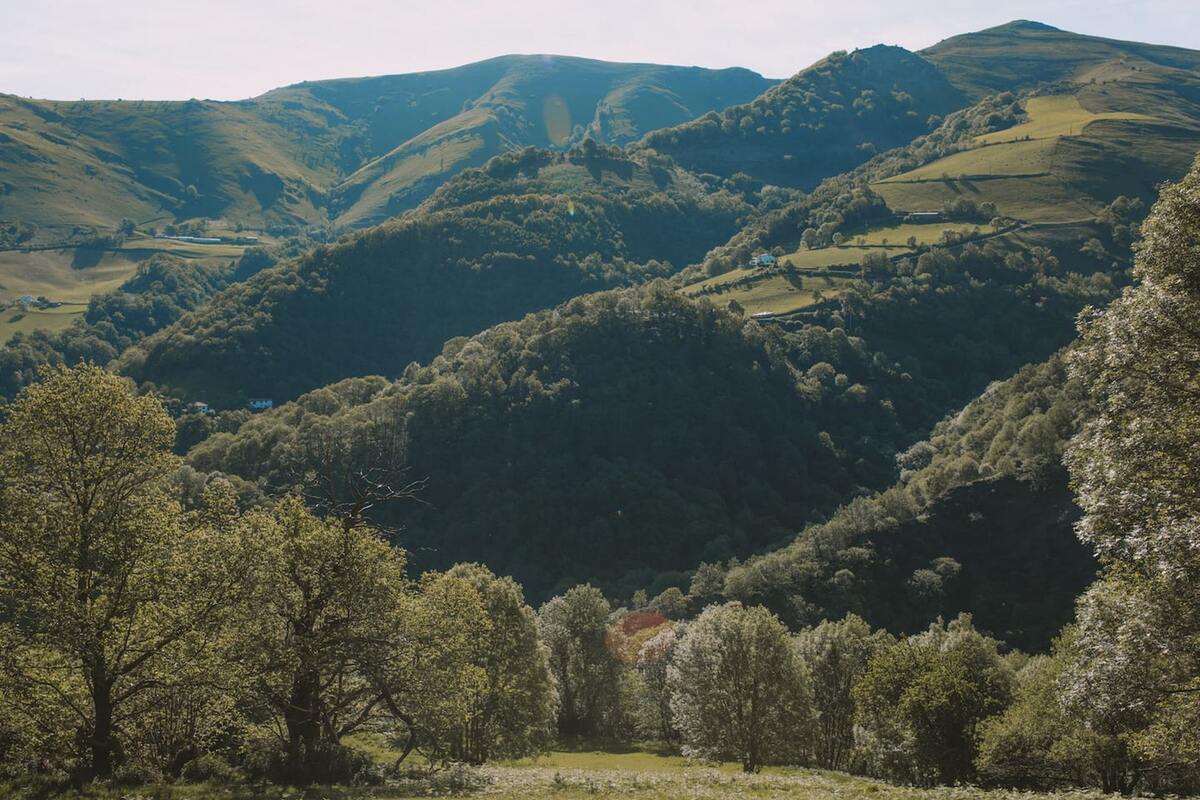 Maison 6 chambres avec vue montagnes à Valcarlos - Photo 37