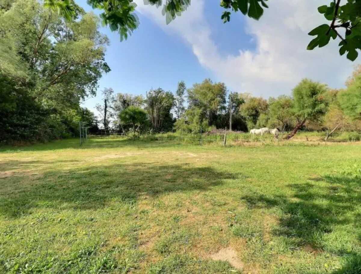 Maison 150 m² Camargue, piscine et jardin à Saintes-Maries - Photo 32