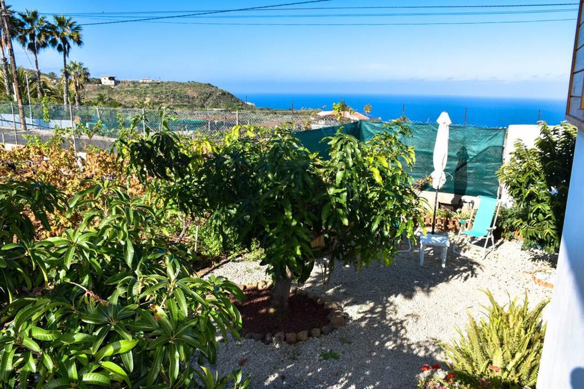 Maison 70 m² à Icod de los Vinos avec jardin et vue mer - Photo 1