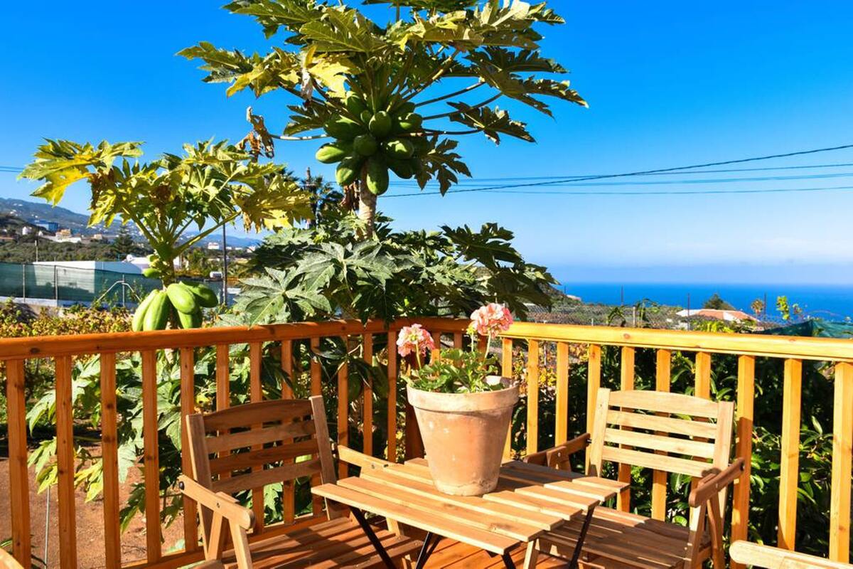 Maison 70 m² à Icod de los Vinos avec jardin et vue mer - Photo 23