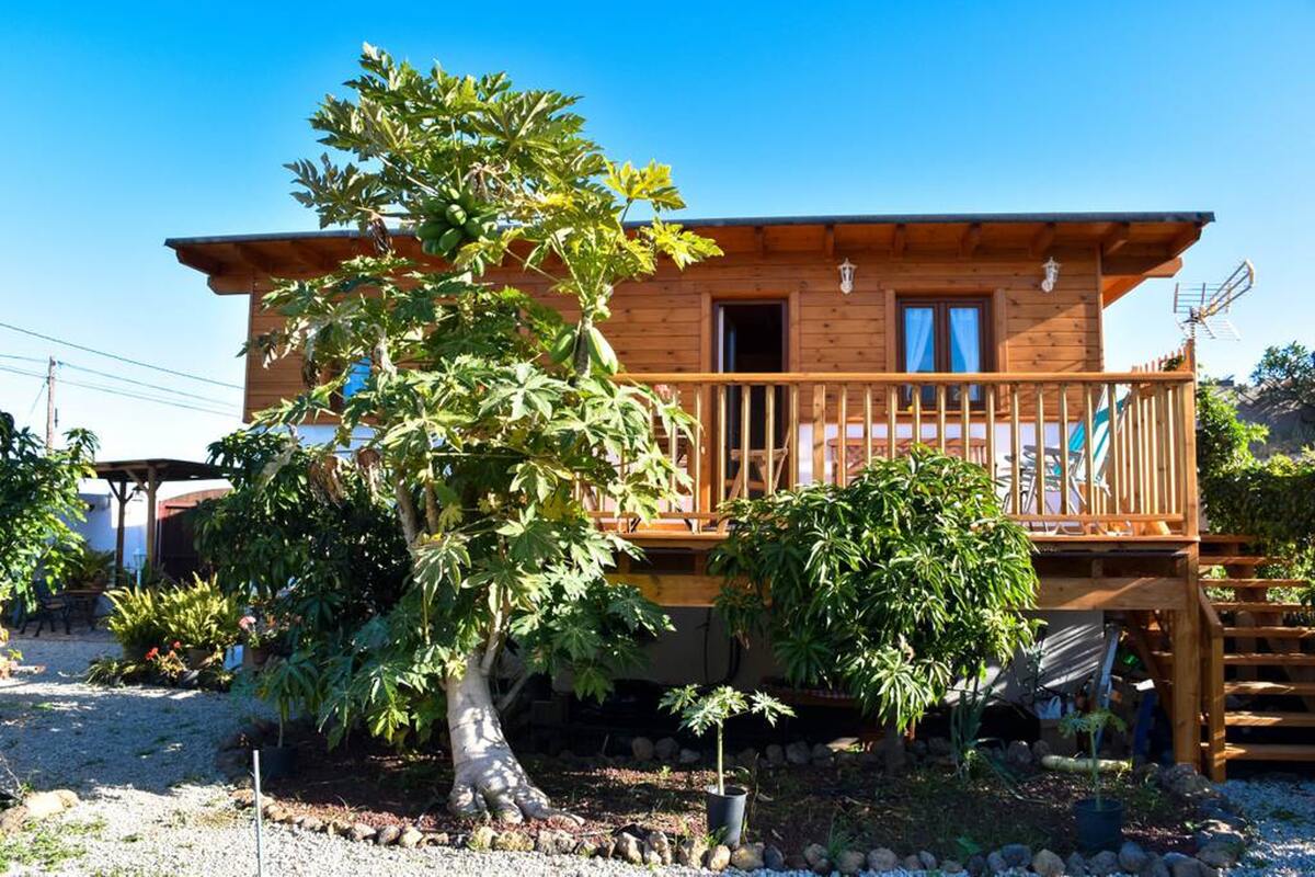 Maison 70 m² à Icod de los Vinos avec jardin et vue mer - Photo 34