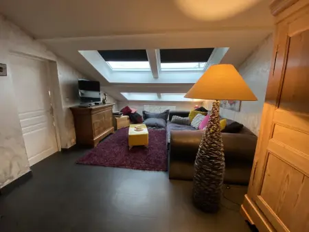 Appartement avec jacuzzi privatif et jardin clos à Plaimbois-du-Miroir : photo 3