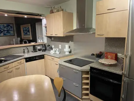 Appartement avec jacuzzi privatif et jardin clos à Plaimbois-du-Miroir : photo 6