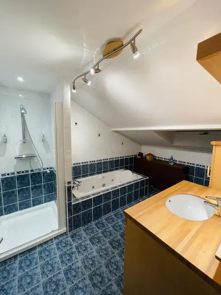 Appartement avec jacuzzi privatif et jardin clos à Plaimbois-du-Miroir : photo 12
