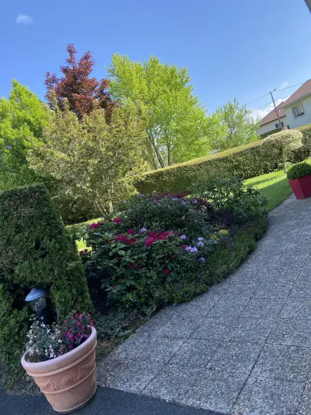 Appartement avec jacuzzi privatif et jardin clos à Plaimbois-du-Miroir : photo 13