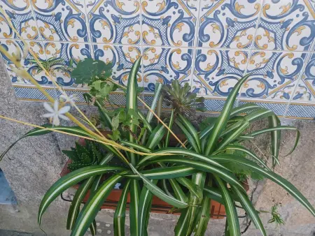 Appartement cosy 50 m² au centre-ville de Porto, parking : photo 14