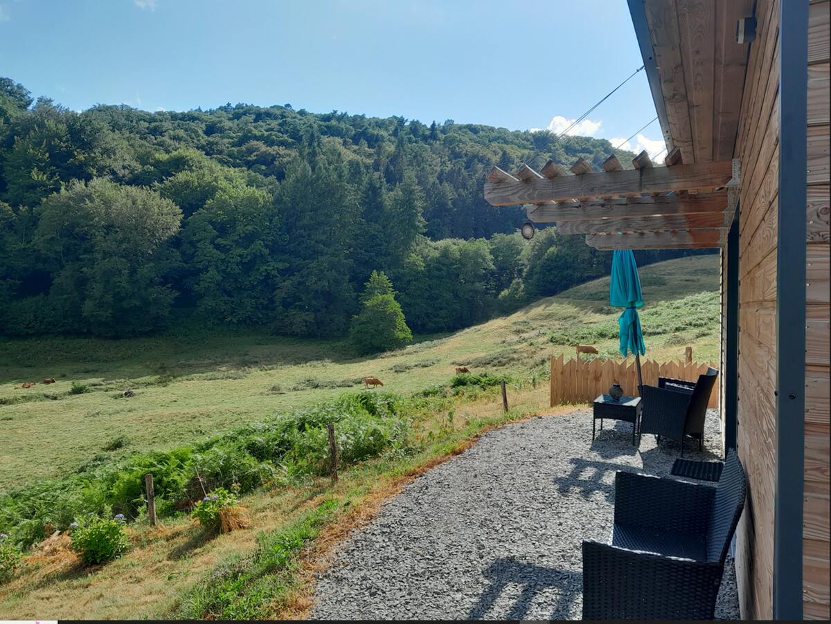 Chalet 32 m² à Saint-Sylvestre, terrasse et coin feu - Photo 2