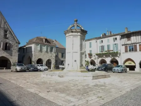 Maison à Eymet avec jardin clos, terrasse et barbecue : photo 33