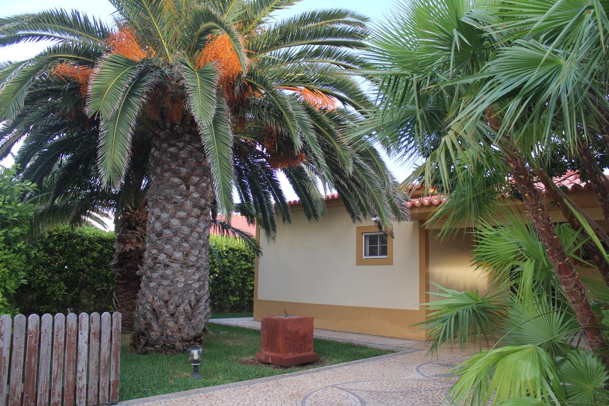 Maison 120 m² vue montagne, jardin clôturé à Porto Santo - Photo 1