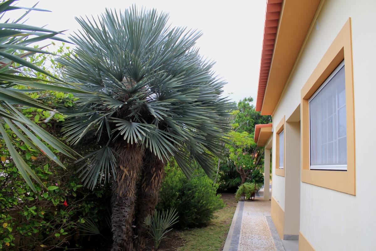 Maison 120 m² vue montagne, jardin clôturé à Porto Santo - Photo 11
