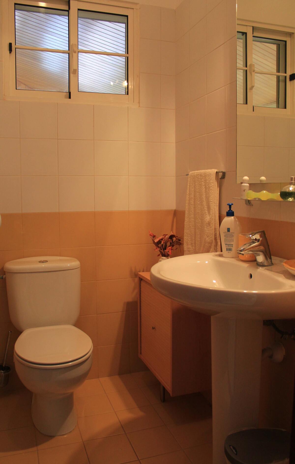 Maison 120 m² vue montagne, jardin clôturé à Porto Santo - Photo 18
