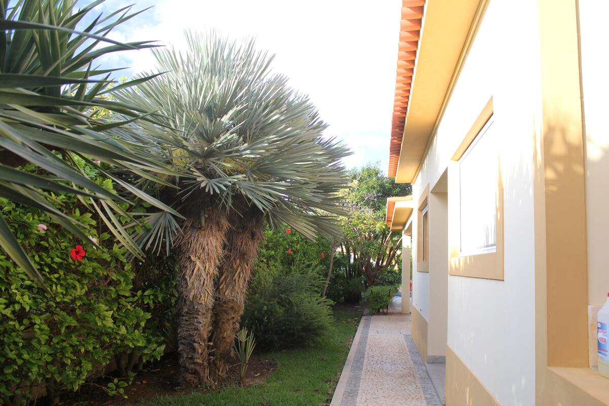 Maison 120 m² vue montagne, jardin clôturé à Porto Santo - Photo 35