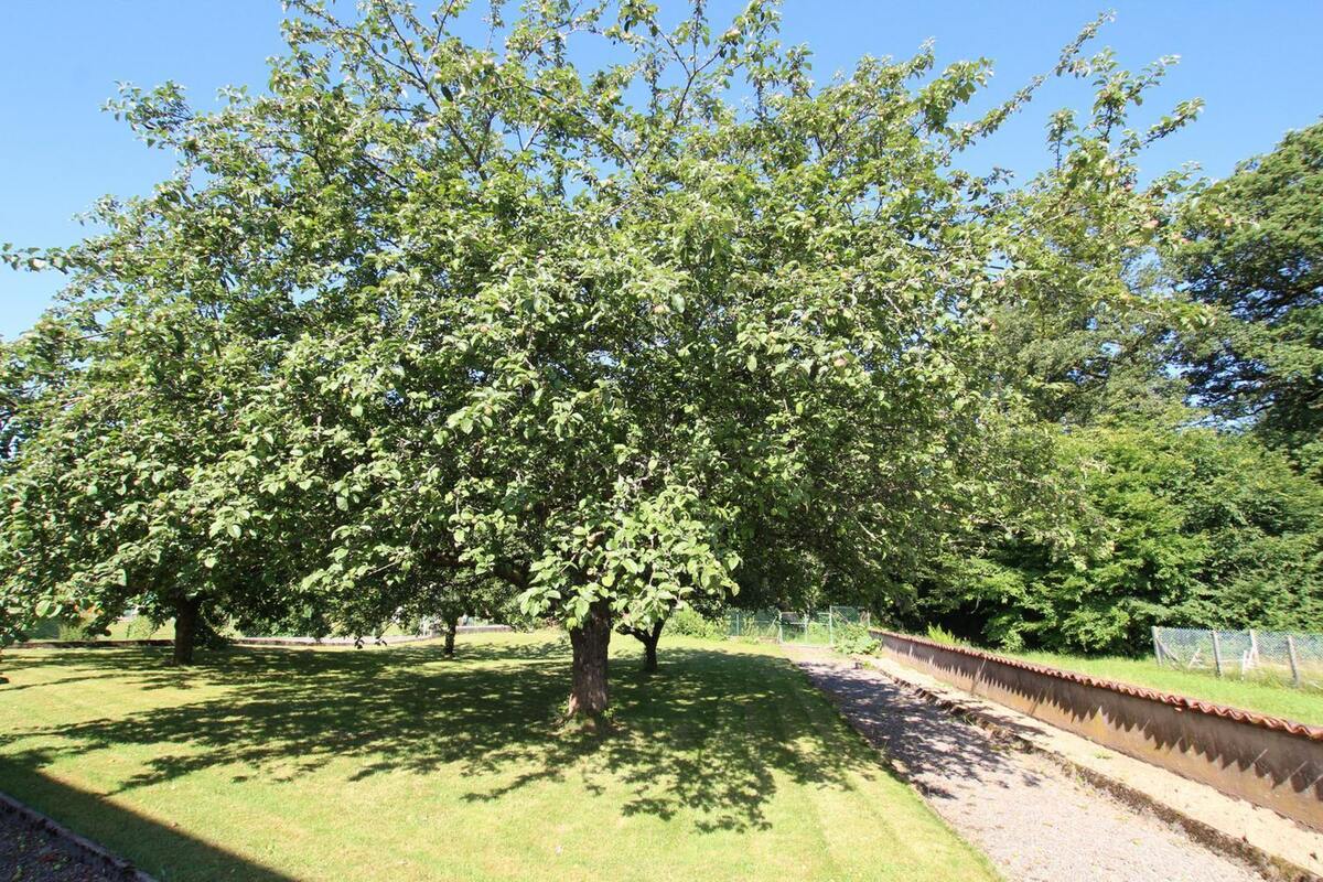Maison 86 m² à Champagney, vue montagne et jardin - Photo 19