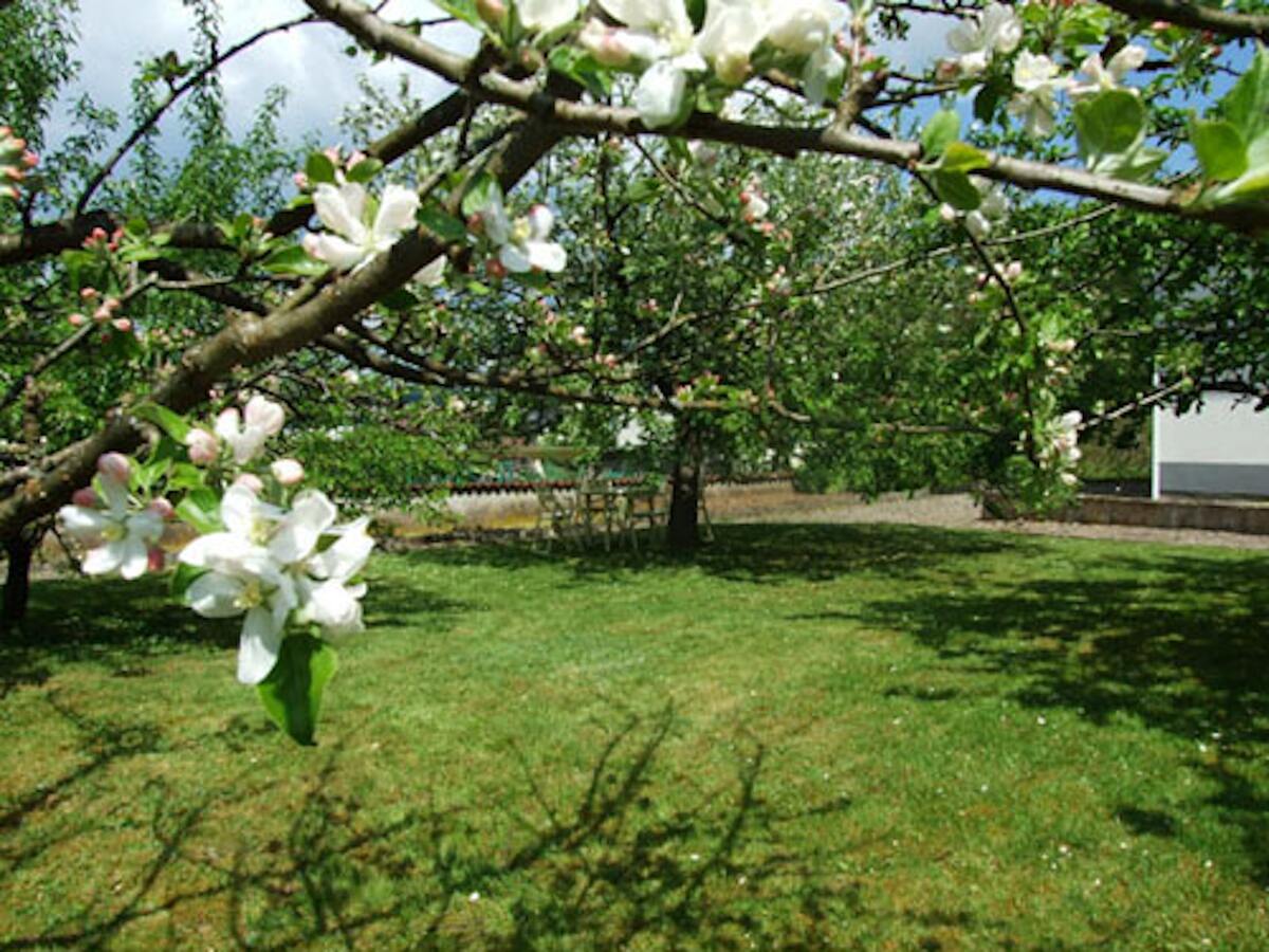 Maison 86 m² à Champagney, vue montagne et jardin - Photo 21