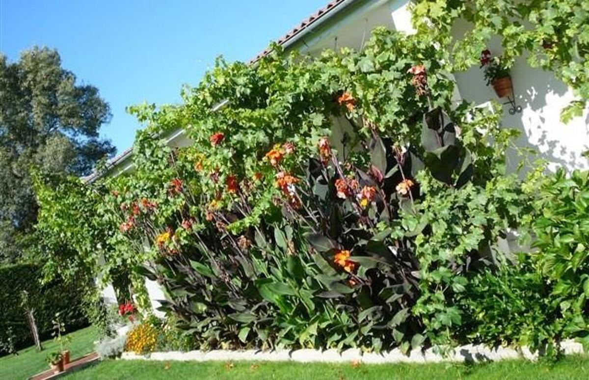 Villa 4 pers. avec piscine privée toute l'année - Photo 22