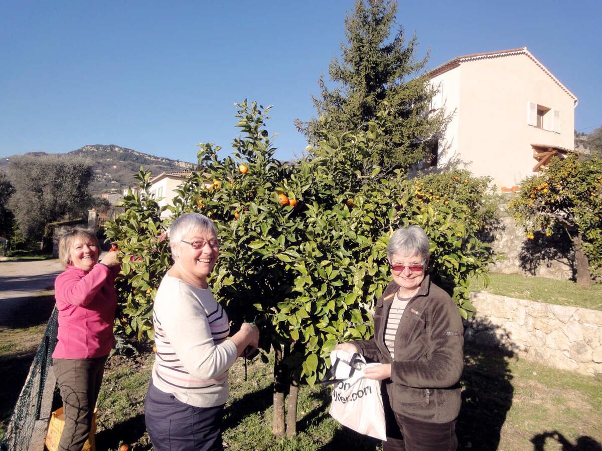 Appartement 40 m² avec jardin clos privatif au Bar-sur-Loup - Photo 15