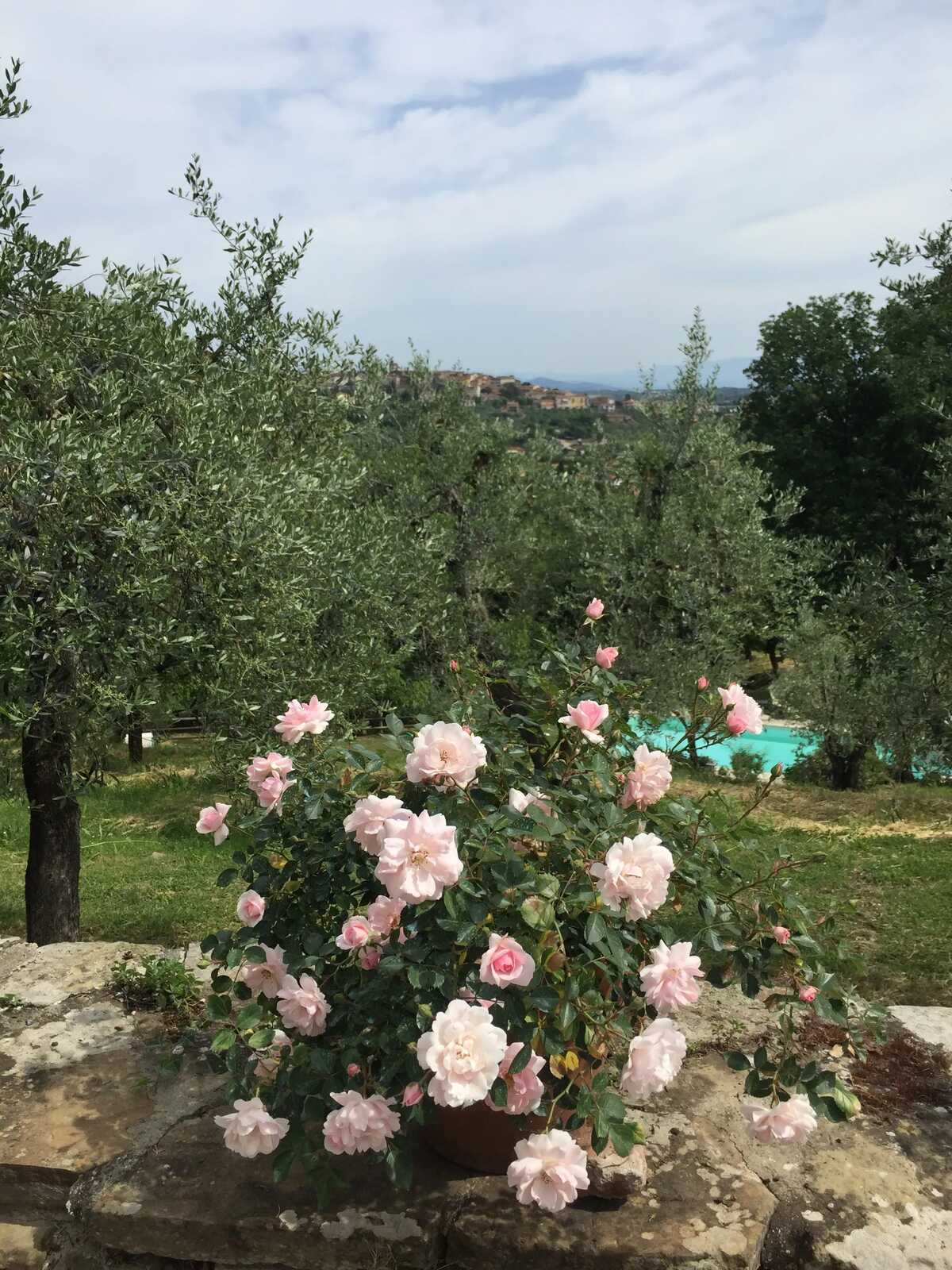 Maison avec piscine privée à Monte San Savino - Photo 37