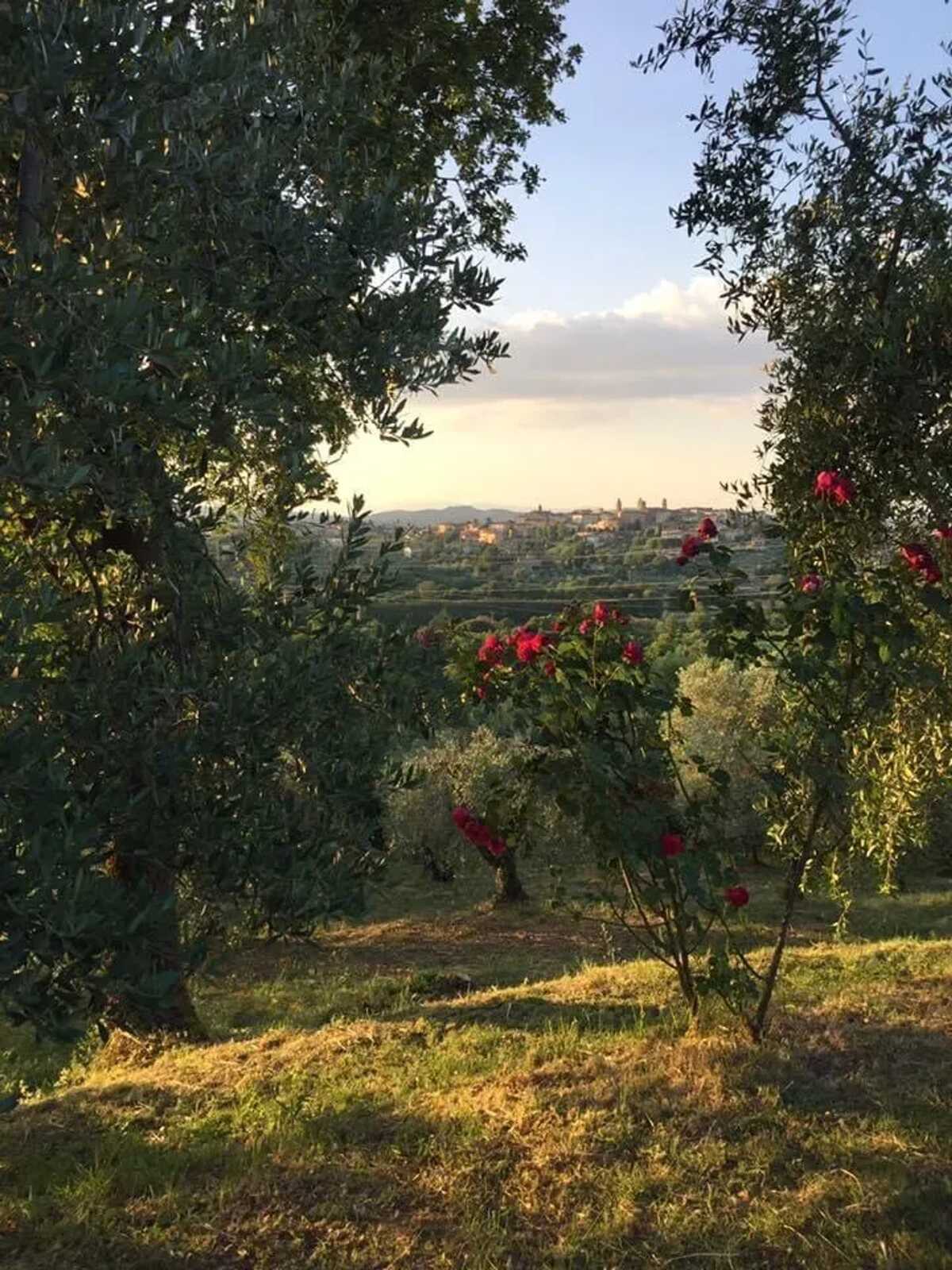 Maison avec piscine privée à Monte San Savino - Photo 49