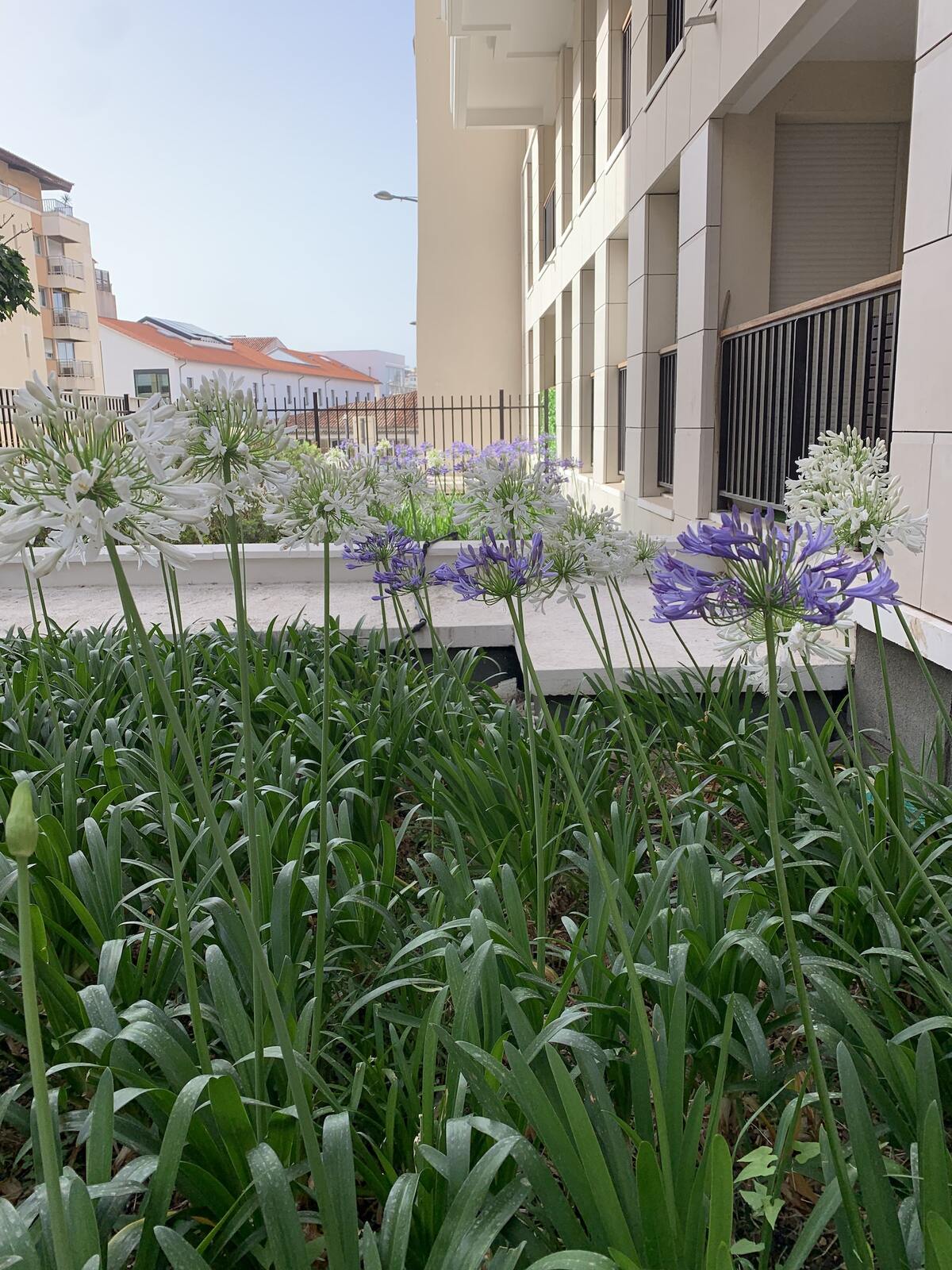 Appartement 50 m² Marseille, balcon jardin, rez-de-chaussée - Photo 4