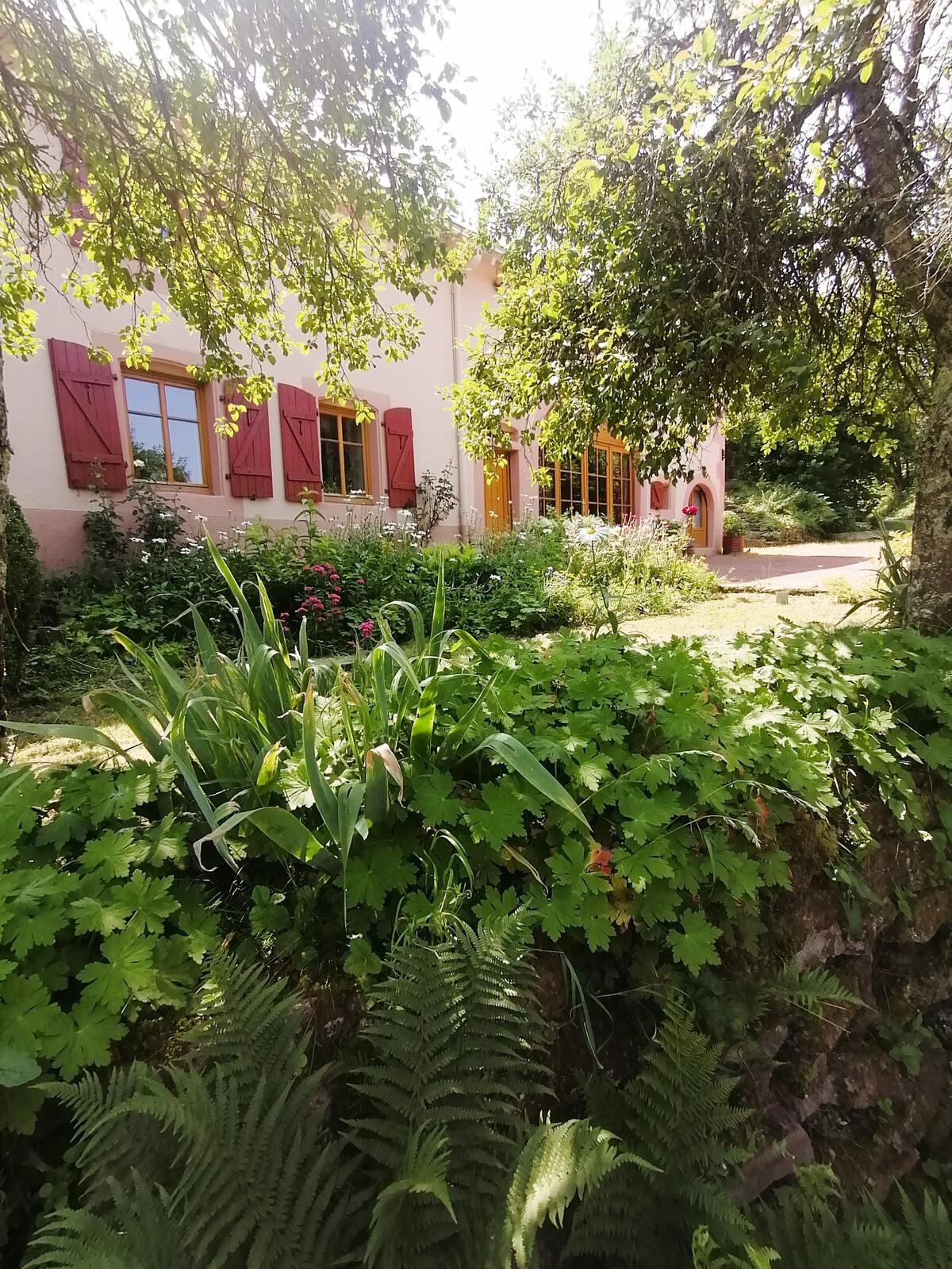 Maison 12 pers., jardin & 4 parkings à Taintrux - Photo 14