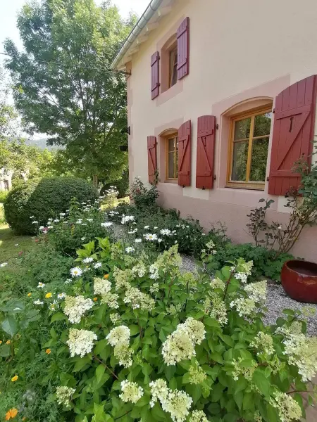 Location maison à Taintrux, Maison charmante dans le village de Taintrux avec jardin