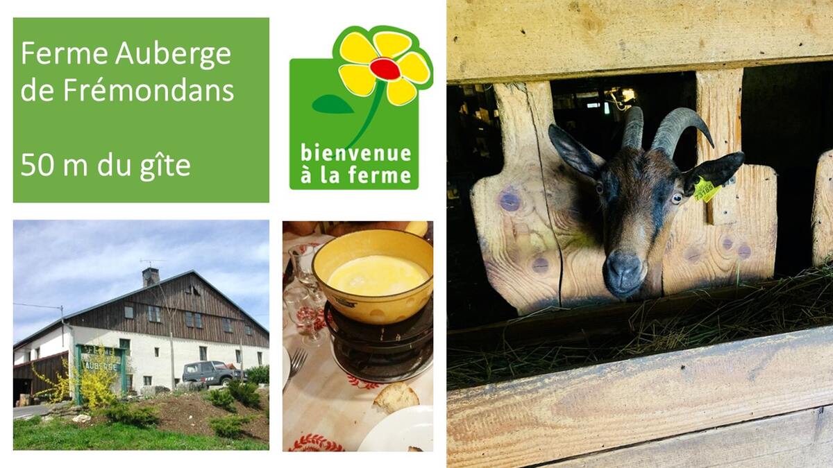 Maison 8 pers. à Vaucluse, jardin, pétanque et barbecue - Photo 35