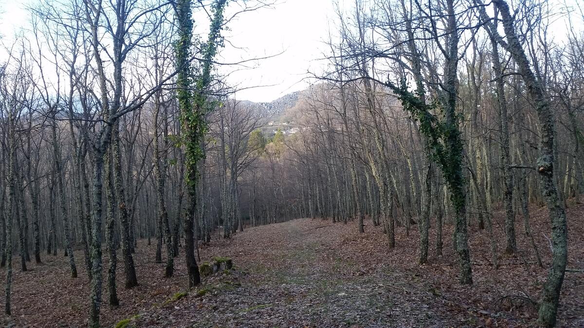 Maison 140 m² La Hoya : 8 personnes, vue montagne - Photo 47